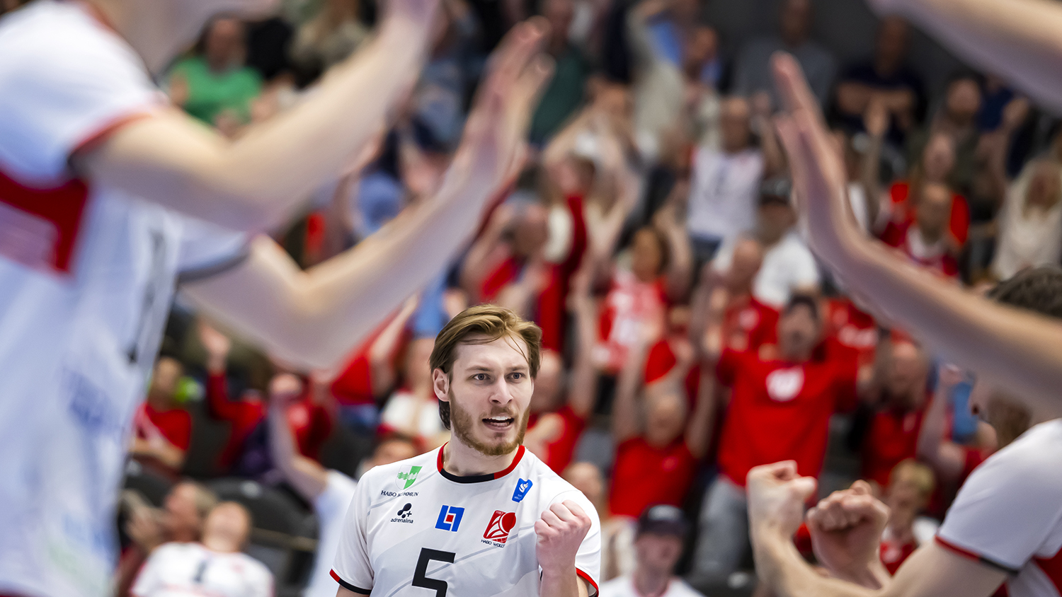 Magnificent premiere of the elite series on September 23 and 24 |  Swedish volleyball